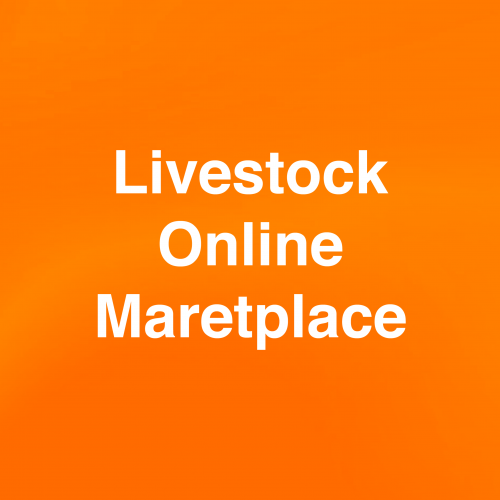 Livestock Online Marketplace