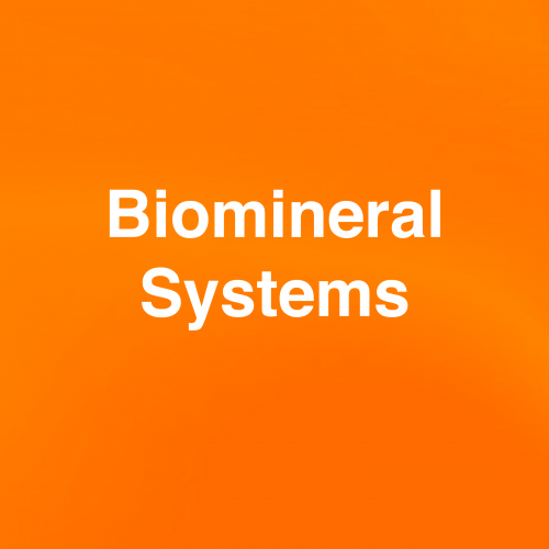 Biomineral Systems