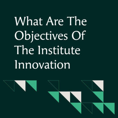 What Are the Objectives of the Institute Innovation Council?